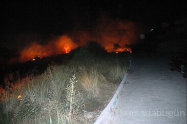 Muğla'da korkutan yangın