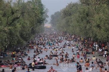 Bakın nasıl serinliyorlar
