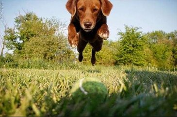 O'an