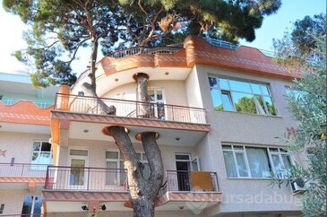 Ağacı kesmek yerine binanın projesini değiştirdiler