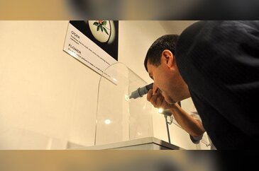 Sadece mikroskopla görülebilen eserler sergilendi