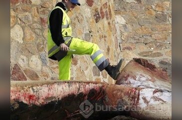 Duyanlar sahile koştu! 

