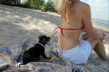 Güldüren fotoğraflar