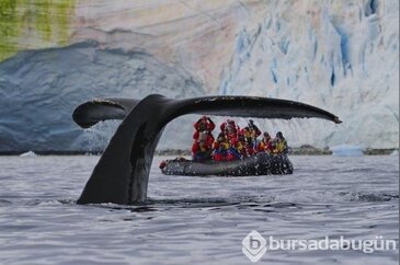 Turistler Şoke Oldu!