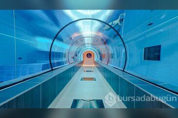 Dünyanın en derin havuzu Y-40