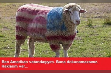 Bayram gelmeden caps'leri geldi