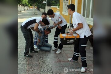 Bonzai değil kolonya bu hale getirdi