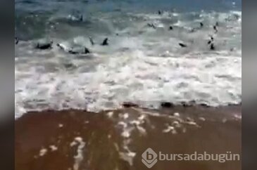 Korku filmi gibi !