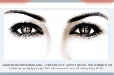 İnsan vücudunun akıllara durgunluk veren özellikleri...