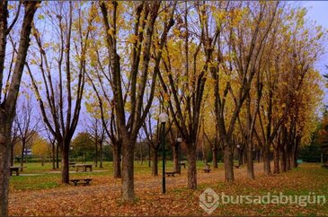Fotoğraflar Bursa'da çekildi!