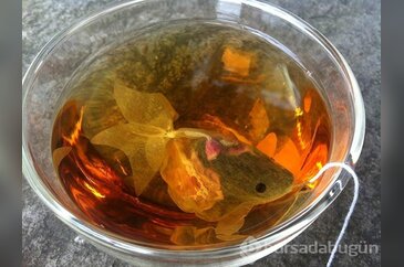 Sattıran ambalaj tasarımları