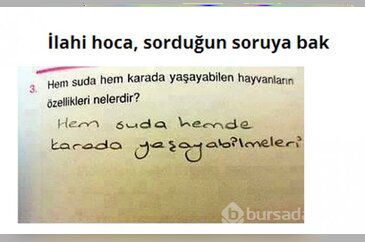 Bu cevaplar efsane oldu!