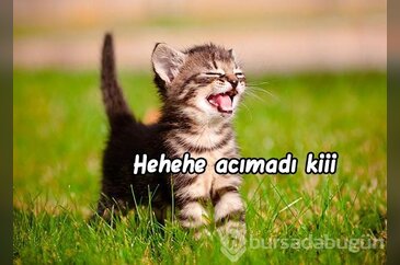 Gülmekten karın kasları yapacağınız capsler
