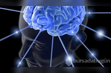 Bir haftada IQ'nuzu yüzde 40 artırın