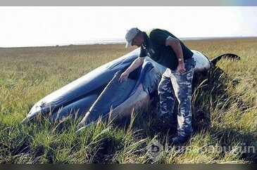 Dünyanın merak ettiği olay