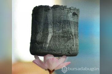 Birbirinden ilginç 20 bilgi ve şaşırtan görüntü