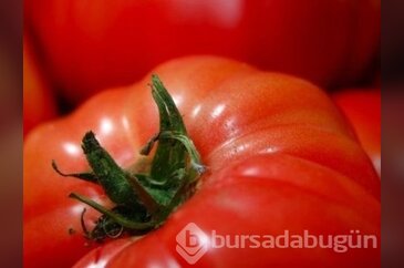 Bunları öğrenince hayatınız değişecek!