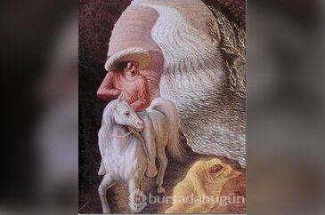 İlginç optik ilüzyonlar