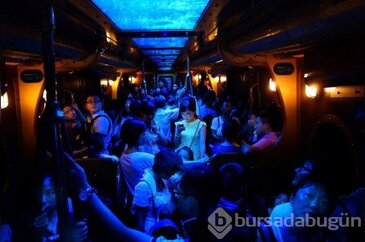 2014 National Geographic Fotoğraf Yarışması Ödülleri