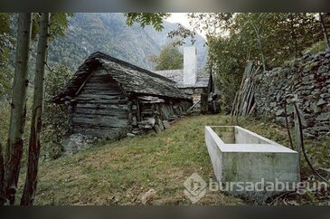 Canı sıkılan adam bunu yaptı
