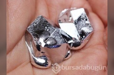Dünyanın 'en garip' bilgileri