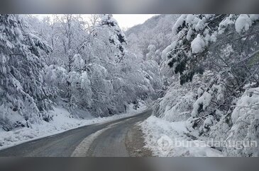Bursa'da kar sürprizi! Uludağ'a çıkmak isteyenler yolda kaldı