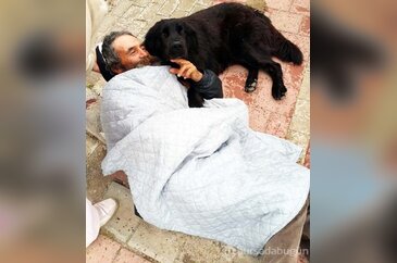 Köpeği 'Yaren' bir an olsun yanından ayrılmadı