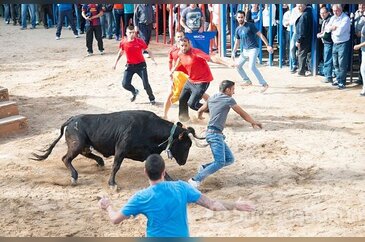 Kızgın boğa intikamını böyle aldı