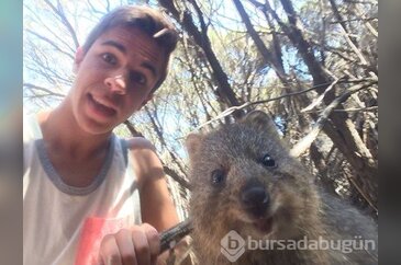 Fotoğrafların davetsiz misafirleri