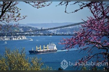 İstanbul'da erguvan vakti