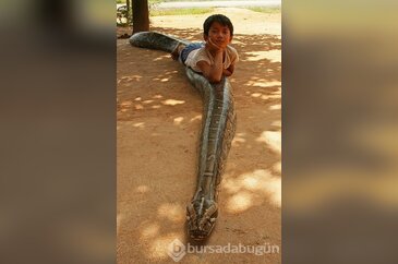 Şaşırtan fotoğraflar