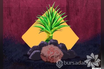 Dünyadan doğum adetleri