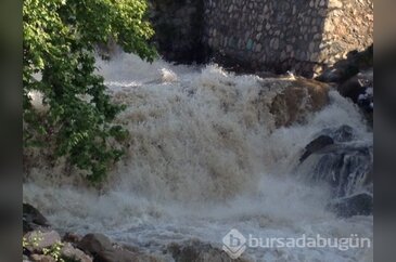 Bursa'da dere çocuğu yuttu!