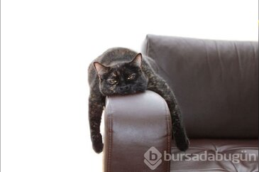 Depresyondayken kafa dağıtmanın kolay yolu