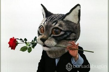 Gençlerin yeni çılgınlığı 'Kedi kafası'