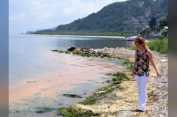 Mavi bayraklı plaj kızıl renge büründü