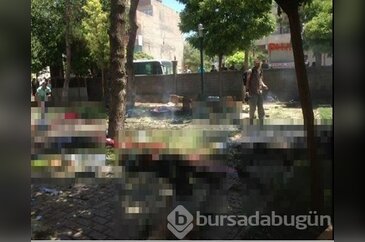 Suruç'taki dehşetin fotoğrafları