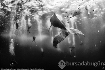 2015'in en iyi gezgin fotoğrafları