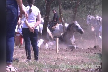 'Issız Adam'' attan düştü