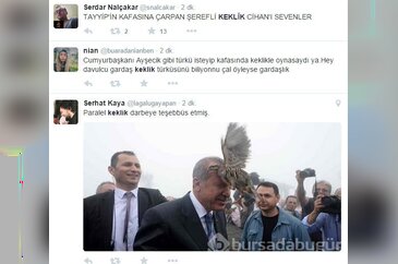 Erdoğan'ın başına konan keklik sosyal medyada gündem oldu	