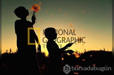 Sizin kareniz: En güzel 50 fotoğraf