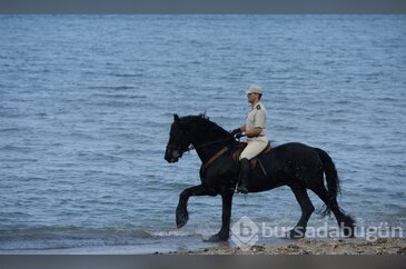 Bu atlar çok özel!