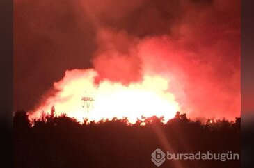 Bursa'da yangın!