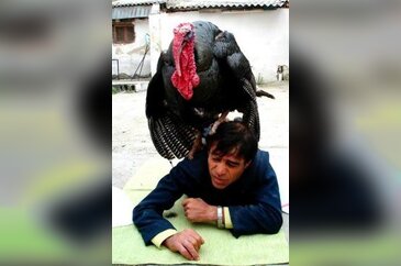 Yurdum insanı yine iş başında