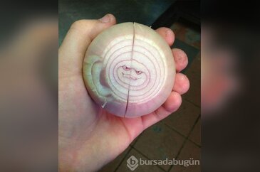 Gizemli fotoğraflar korkutuyor