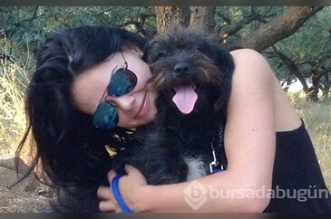 Hayatını kurtaran köpeği sahiplenmek için binlerce kilometre yol gitti