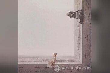 Fotoğrafları başkalaştıran sanatçının çalışmaları!