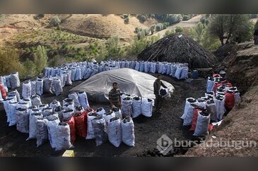 Mangal kömürü işçilerinin zorlu yaşamı