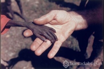 İnsan Temalı, Birbirinden Etkileyici 30 Fotoğraf