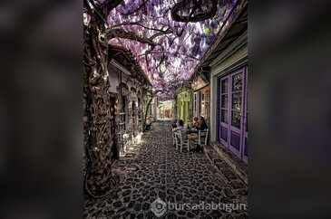 Büyüleyici 15 sokak